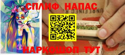тгк Кингисепп